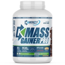 MUSCLE GAINER PRO - 3000 2