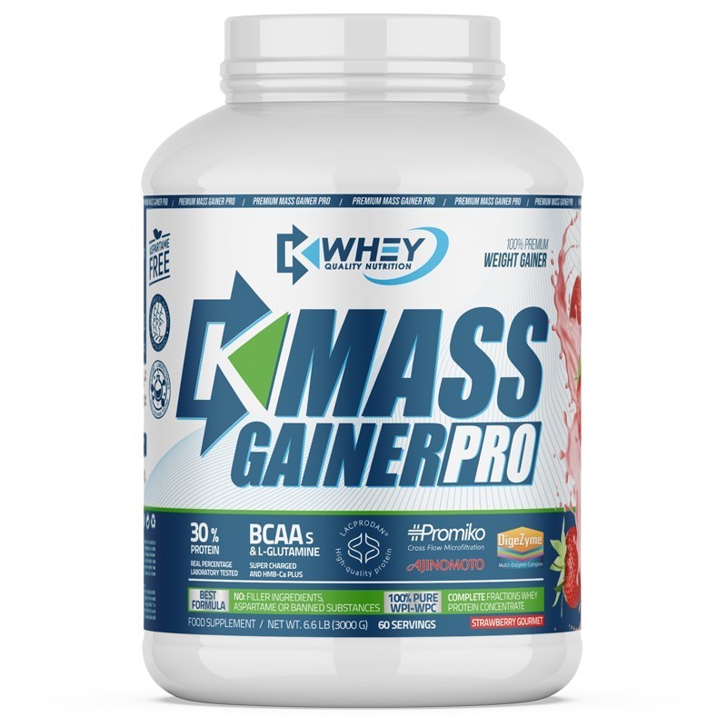 MUSCLE GAINER PRO - 3000