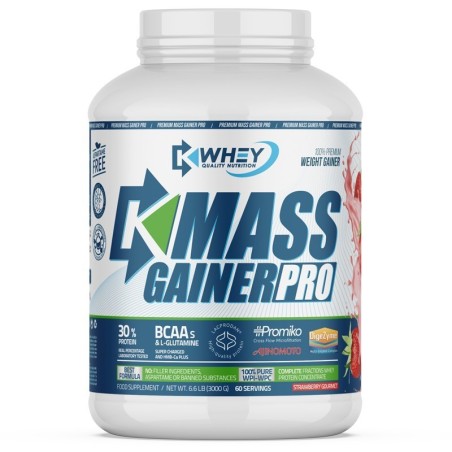 MUSCLE GAINER PRO - 3000