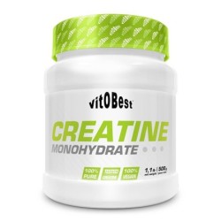 CREATINA POWDER 500gr