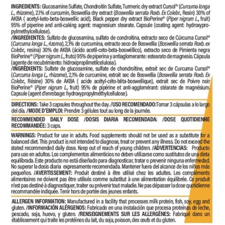ARTILIFE PRO GLUCOSAMINE - 90 VCAPS