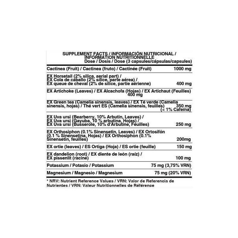 ESSENTIALS DIURETIC PRO - 90 VCAP